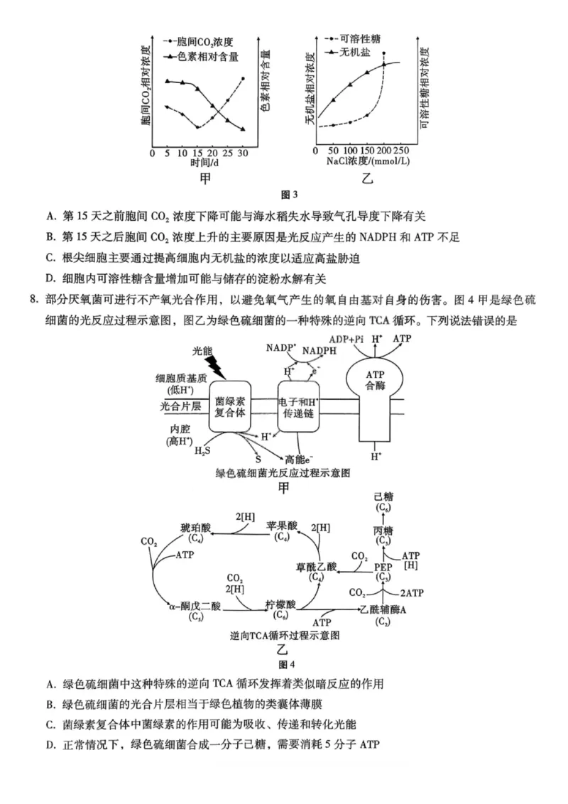 重庆巴蜀中学2026届高三10月高考适应性月考卷（三）生物_251101重庆市巴蜀中学2026届高三上学期10月月考（三）（全科）_重庆巴蜀中学2026届高三10月高考适应性月考卷（三）生物