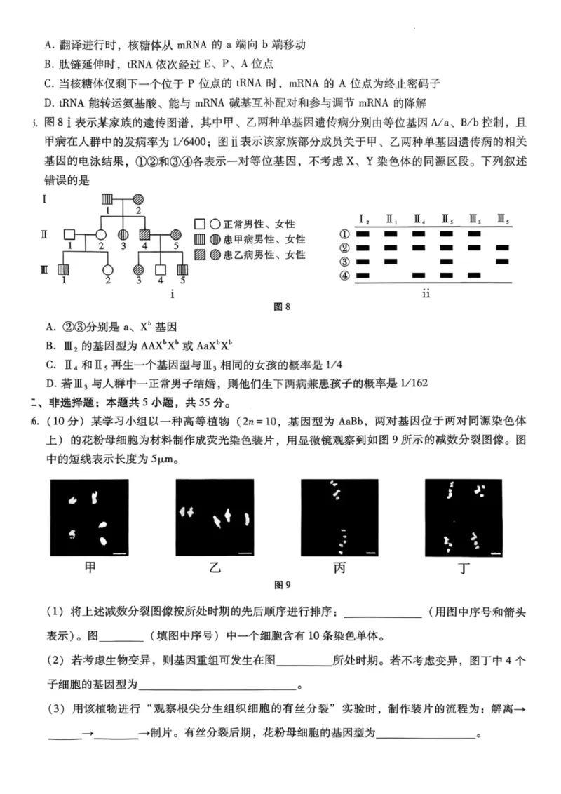 重庆巴蜀中学2026届高三10月高考适应性月考卷（三）生物_251101重庆市巴蜀中学2026届高三上学期10月月考（三）（全科）_重庆巴蜀中学2026届高三10月高考适应性月考卷（三）生物