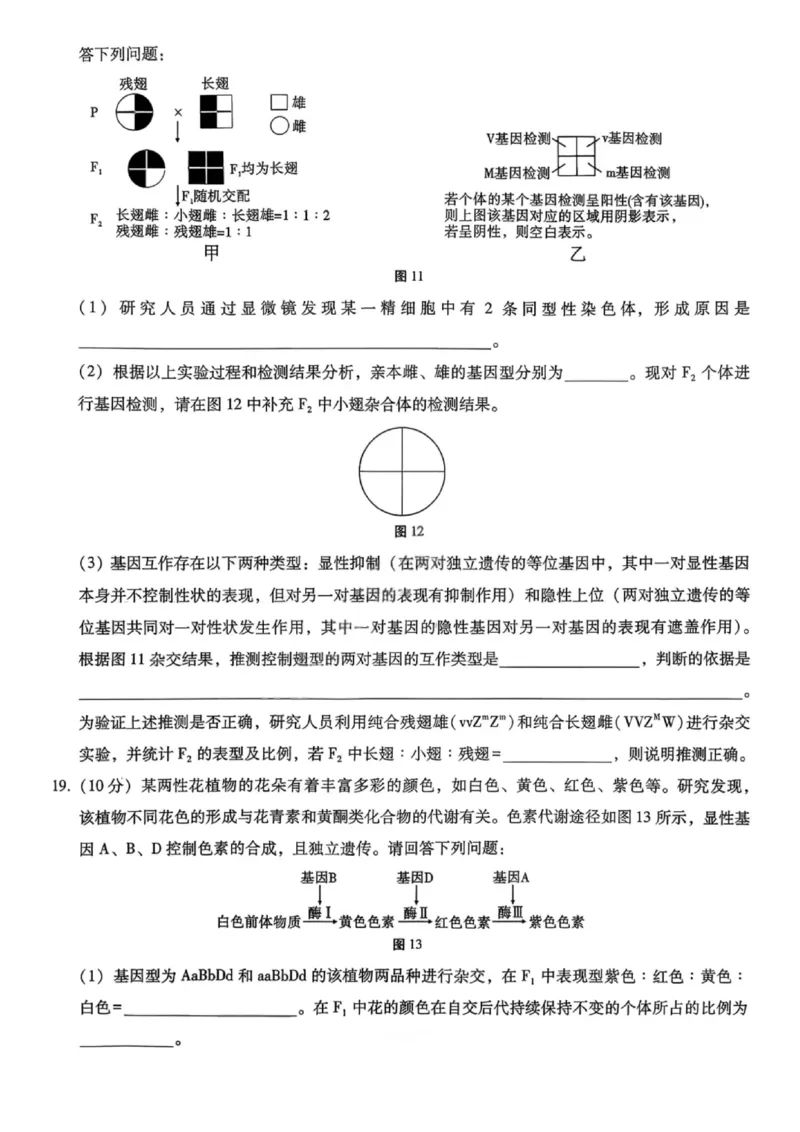 重庆巴蜀中学2026届高三10月高考适应性月考卷（三）生物_251101重庆市巴蜀中学2026届高三上学期10月月考（三）（全科）_重庆巴蜀中学2026届高三10月高考适应性月考卷（三）生物