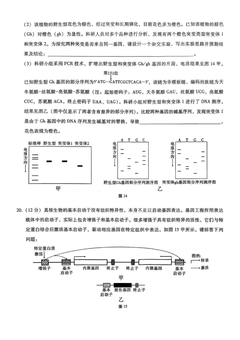 重庆巴蜀中学2026届高三10月高考适应性月考卷（三）生物_251101重庆市巴蜀中学2026届高三上学期10月月考（三）（全科）_重庆巴蜀中学2026届高三10月高考适应性月考卷（三）生物
