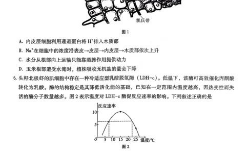 重庆巴蜀中学2026届高三10月高考适应性月考卷（三）生物_251101重庆市巴蜀中学2026届高三上学期10月月考（三）（全科）_重庆巴蜀中学2026届高三10月高考适应性月考卷（三）生物