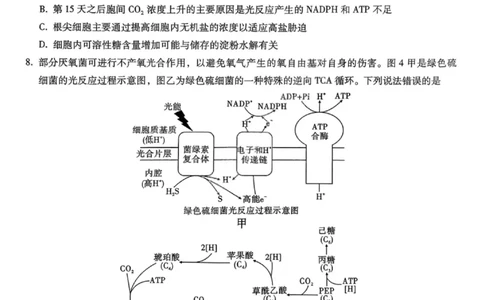 重庆巴蜀中学2026届高三10月高考适应性月考卷（三）生物_251101重庆市巴蜀中学2026届高三上学期10月月考（三）（全科）_重庆巴蜀中学2026届高三10月高考适应性月考卷（三）生物