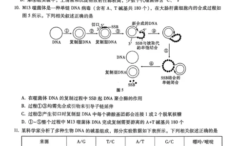 重庆巴蜀中学2026届高三10月高考适应性月考卷（三）生物_251101重庆市巴蜀中学2026届高三上学期10月月考（三）（全科）_重庆巴蜀中学2026届高三10月高考适应性月考卷（三）生物