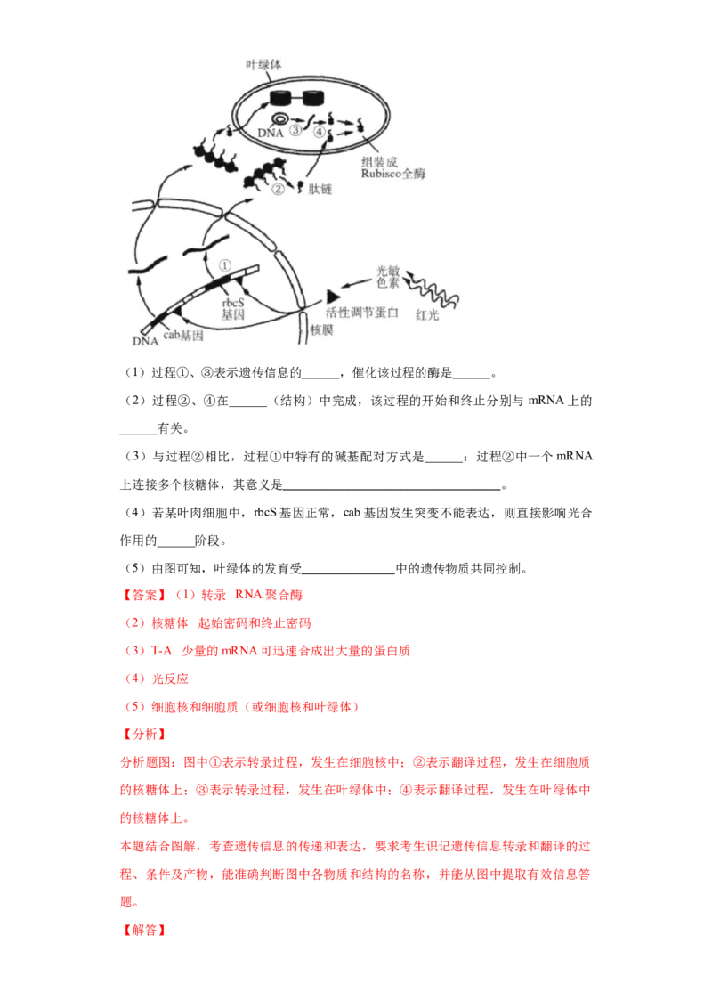 生物（黑龙江、吉林适用，15+5+5题型）全解全析_学易金卷丨2024年1月&ldquo;七省联考&rdquo;考前猜想卷_生物（黑龙江、吉林适用，15+5+5题型）