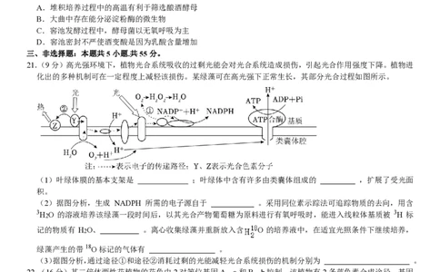 山东生物-试题（回忆版）_1.高考2025全国各省真题+答案_00.2025各省市高考真题及答案（按省份分类）_13、山东卷（9科全）_生物