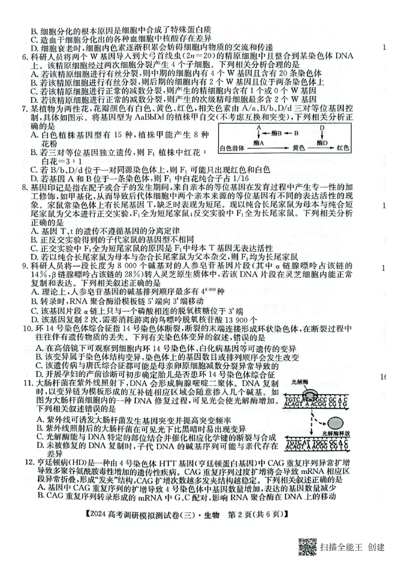 永寿县中学2023-2024学年度高科调研拟测试卷生物_2024届陕西省咸阳市永寿县中学高三上学期高考调研拟测试卷（二）_陕西省咸阳市永寿县中学2024届高三上学期高考调研拟测试卷（二）生物