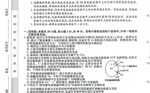 永寿县中学2023-2024学年度高科调研拟测试卷生物_2024届陕西省咸阳市永寿县中学高三上学期高考调研拟测试卷（二）_陕西省咸阳市永寿县中学2024届高三上学期高考调研拟测试卷（二）生物