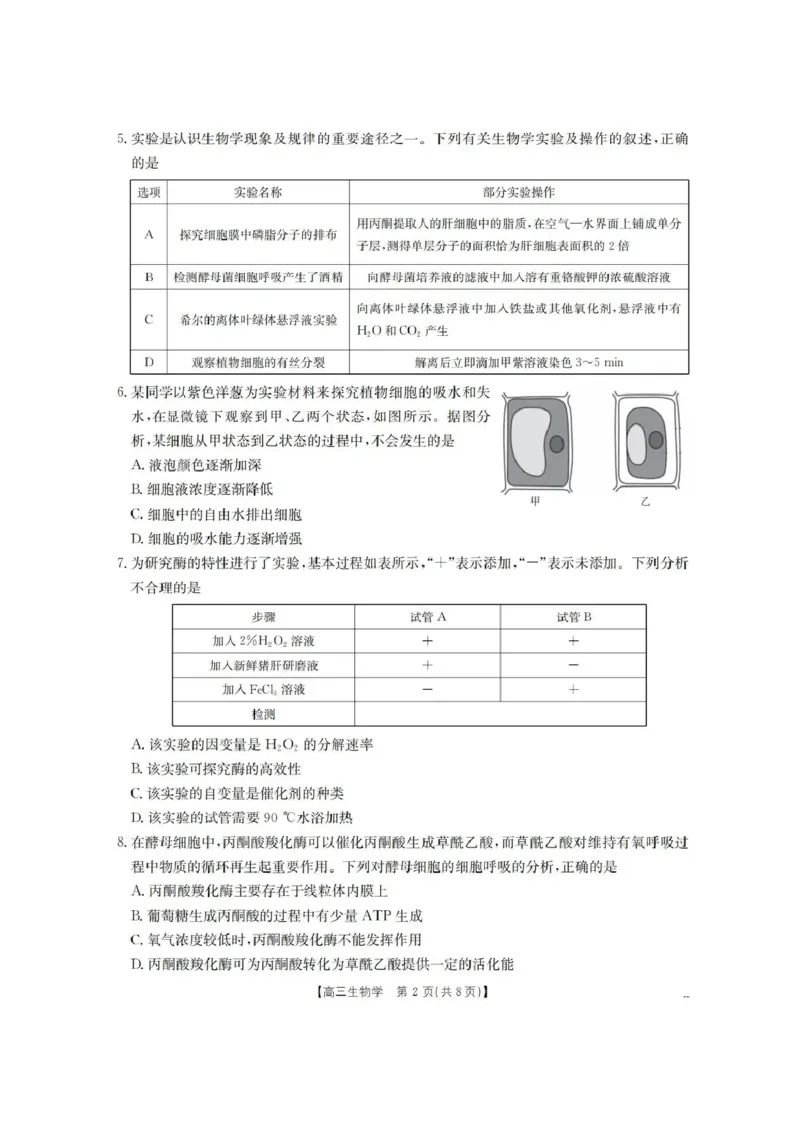 辽宁省葫芦岛市、县协作校2025-2026学年高三上学期第一次考试生物试题（含答案）_251114辽宁省葫芦岛市2025-2026学年高三上学期协作校第一次考试（全科）