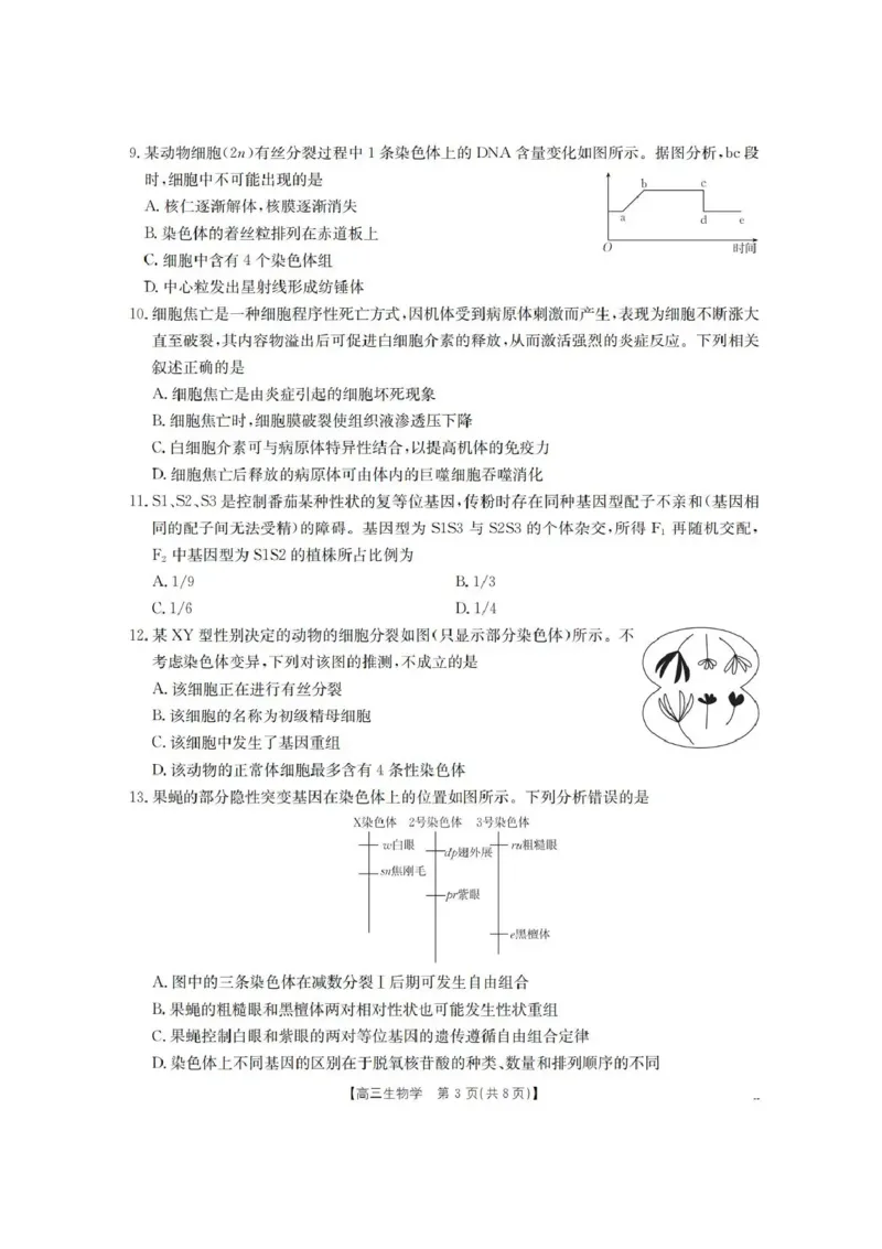 辽宁省葫芦岛市、县协作校2025-2026学年高三上学期第一次考试生物试题（含答案）_251114辽宁省葫芦岛市2025-2026学年高三上学期协作校第一次考试（全科）