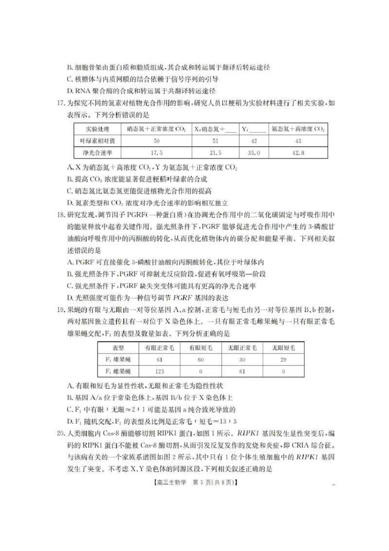 辽宁省葫芦岛市、县协作校2025-2026学年高三上学期第一次考试生物试题（含答案）_251114辽宁省葫芦岛市2025-2026学年高三上学期协作校第一次考试（全科）