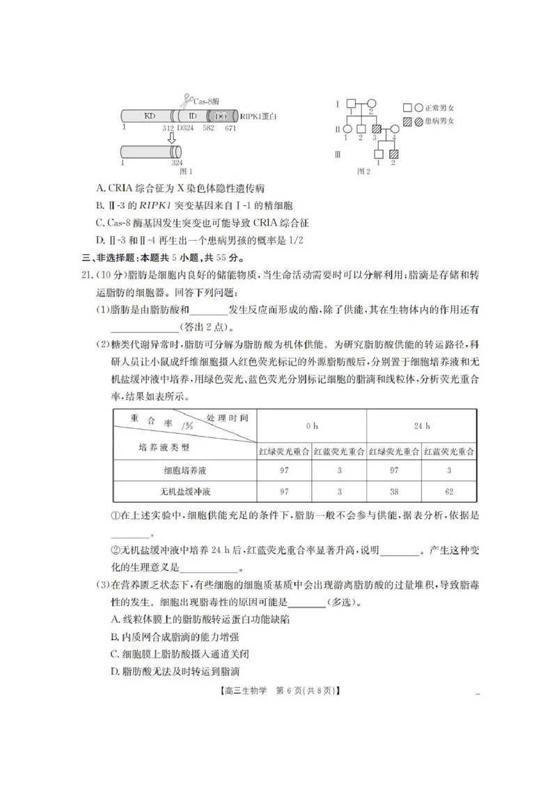 辽宁省葫芦岛市、县协作校2025-2026学年高三上学期第一次考试生物试题（含答案）_251114辽宁省葫芦岛市2025-2026学年高三上学期协作校第一次考试（全科）