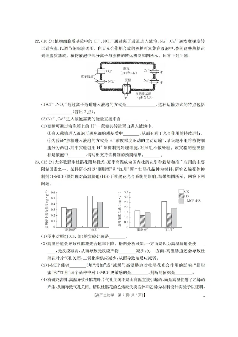 辽宁省葫芦岛市、县协作校2025-2026学年高三上学期第一次考试生物试题（含答案）_251114辽宁省葫芦岛市2025-2026学年高三上学期协作校第一次考试（全科）
