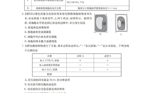 辽宁省葫芦岛市、县协作校2025-2026学年高三上学期第一次考试生物试题（含答案）_251114辽宁省葫芦岛市2025-2026学年高三上学期协作校第一次考试（全科）