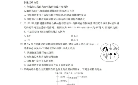 辽宁省葫芦岛市、县协作校2025-2026学年高三上学期第一次考试生物试题（含答案）_251114辽宁省葫芦岛市2025-2026学年高三上学期协作校第一次考试（全科）