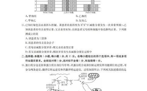 辽宁省葫芦岛市、县协作校2025-2026学年高三上学期第一次考试生物试题（含答案）_251114辽宁省葫芦岛市2025-2026学年高三上学期协作校第一次考试（全科）