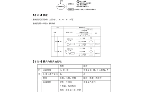 考前必背｜高中教资《生物》最全考点背诵笔记与模版，一遍上岸_4-教培资料-26年最新资料-同步更新_初中高中教资_03科三专项（进去保存报考的学科即可）