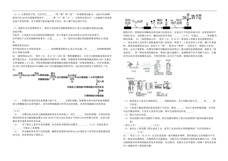 高二生物试卷_2025年7月_250721吉林省&ldquo;BEST合作体&rdquo;2024-2025学年高二下学期7月期末（全科）_吉林省&ldquo;BEST合作体&rdquo;2024-2025学年高二下学期7月期末生物试题(图片版含答案)