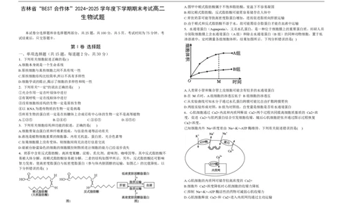 高二生物试卷_2025年7月_250721吉林省&ldquo;BEST合作体&rdquo;2024-2025学年高二下学期7月期末（全科）_吉林省&ldquo;BEST合作体&rdquo;2024-2025学年高二下学期7月期末生物试题(图片版含答案)