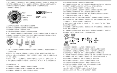 高二生物试卷_2025年7月_250721吉林省&ldquo;BEST合作体&rdquo;2024-2025学年高二下学期7月期末（全科）_吉林省&ldquo;BEST合作体&rdquo;2024-2025学年高二下学期7月期末生物试题(图片版含答案)