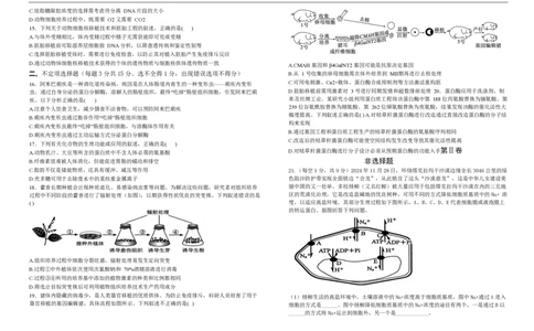 高二生物试卷_2025年7月_250721吉林省&ldquo;BEST合作体&rdquo;2024-2025学年高二下学期7月期末（全科）_吉林省&ldquo;BEST合作体&rdquo;2024-2025学年高二下学期7月期末生物试题(图片版含答案)