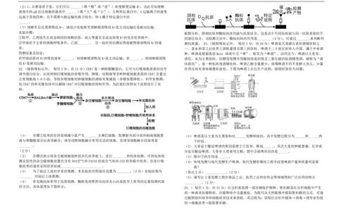 高二生物试卷_2025年7月_250721吉林省&ldquo;BEST合作体&rdquo;2024-2025学年高二下学期7月期末（全科）_吉林省&ldquo;BEST合作体&rdquo;2024-2025学年高二下学期7月期末生物试题(图片版含答案)