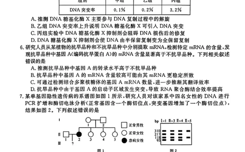 生物_2025年12月_251212华师联盟2026届高三第一学期12月质量检测联考