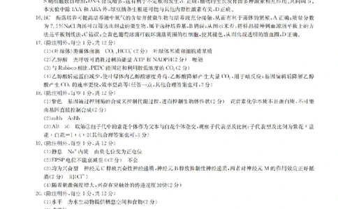 生物答案1XKB-F-24届九师联盟核心模拟卷（中）_2024届九师联盟高三核心模拟卷（中）一_九师联盟2023-2024学年高三核心模拟卷（中）一生物试卷