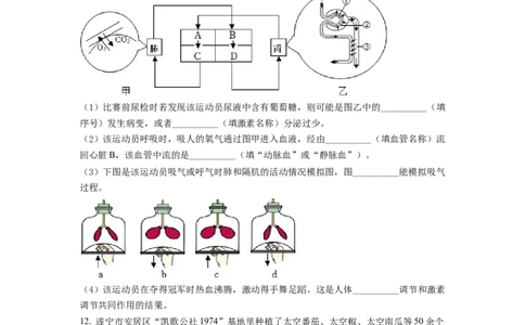 精品解析：2022年四川省遂宁市中考生物真题（原卷版）_中考真题_8.生物中考真题2015-2024年_2022年全国中考生物114份14