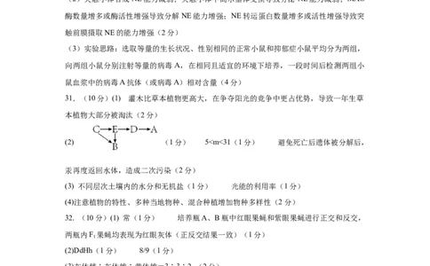 生物试题答案_2024届四川省成都市石室中学高三上学期期末考试_四川省成都市石室中学2024届高三上学期期末考试理综