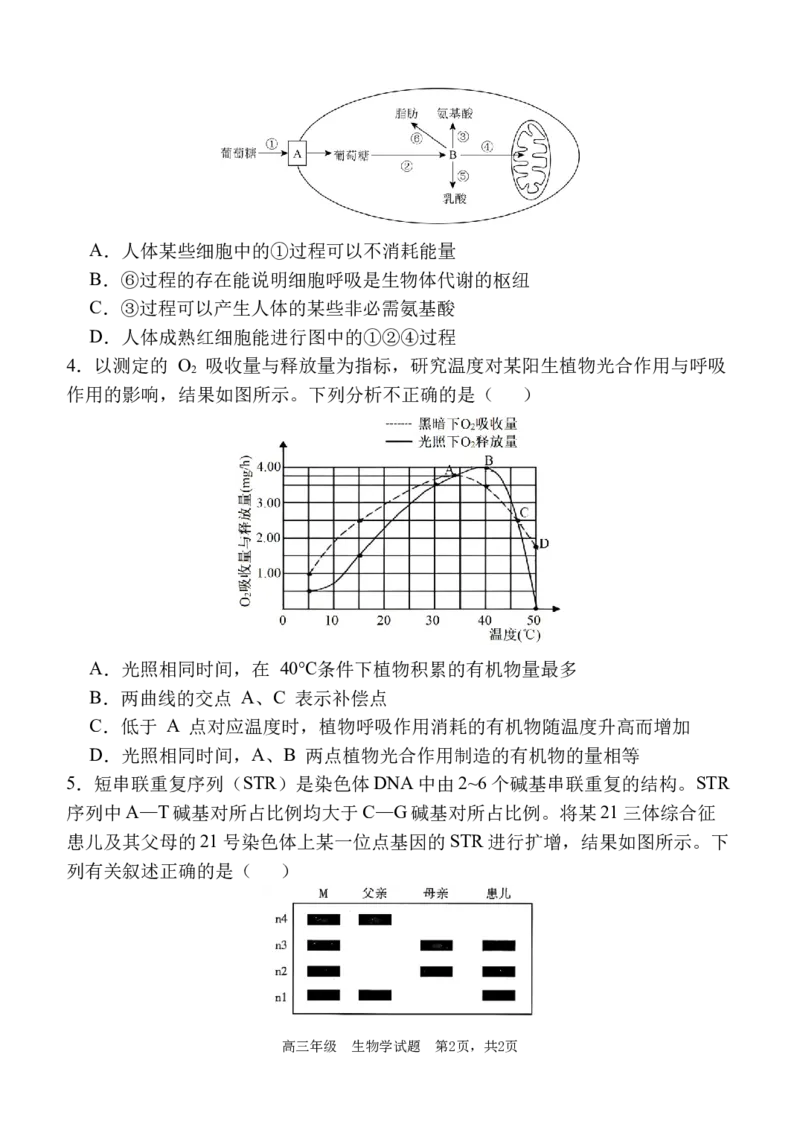 陕西省西安中学2025-2026学年高三上学期质量检测生物试卷（三）_2025年12月_251222陕西省西安中学2025-2026学年高三上学期质量检测（三）（全科）