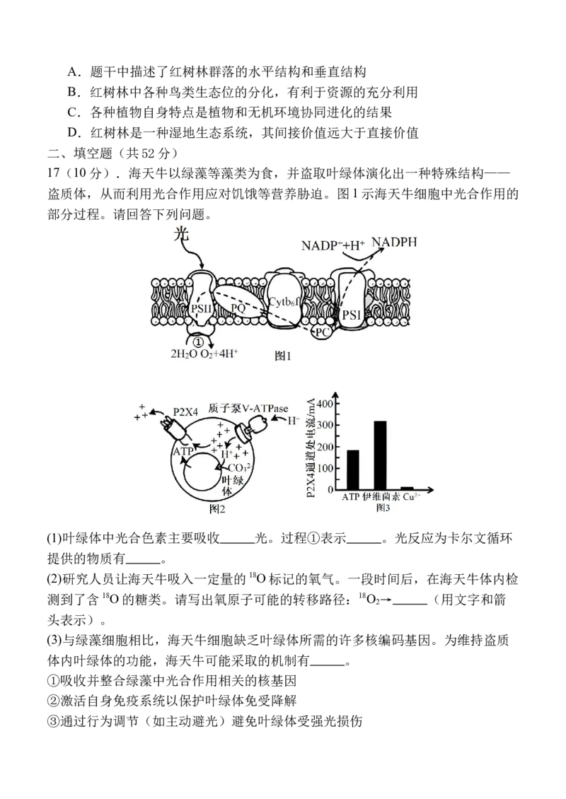 陕西省西安中学2025-2026学年高三上学期质量检测生物试卷（三）_2025年12月_251222陕西省西安中学2025-2026学年高三上学期质量检测（三）（全科）