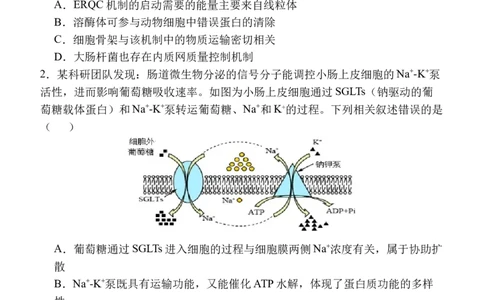 陕西省西安中学2025-2026学年高三上学期质量检测生物试卷（三）_2025年12月_251222陕西省西安中学2025-2026学年高三上学期质量检测（三）（全科）