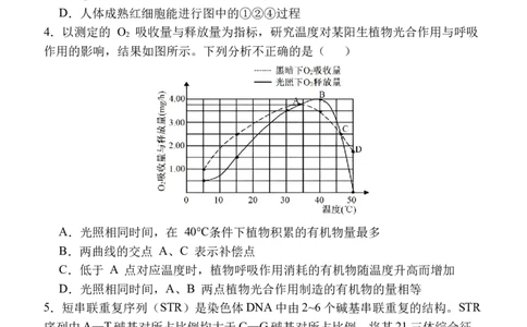 陕西省西安中学2025-2026学年高三上学期质量检测生物试卷（三）_2025年12月_251222陕西省西安中学2025-2026学年高三上学期质量检测（三）（全科）