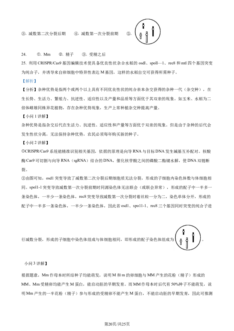 精品解析：山东省济南市2023-2024学年高三上学期期末学习质量检测生物试题（解析版）_2024届山东省济南市高三上学期期末学习质量检测