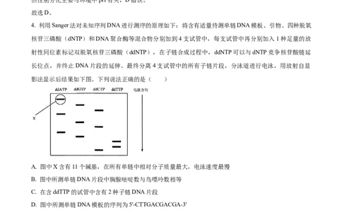 精品解析：山东省济南市2023-2024学年高三上学期期末学习质量检测生物试题（解析版）_2024届山东省济南市高三上学期期末学习质量检测