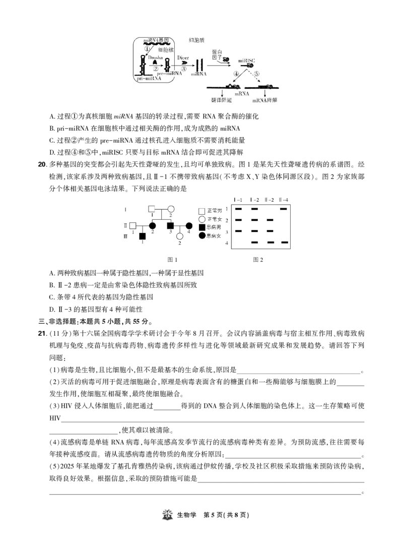 生物试卷_2025年12月_251219东北精准教学联盟2025年12学高三联考考后强化卷（全科）