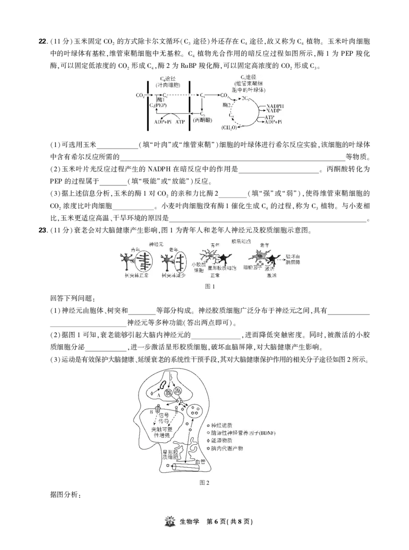生物试卷_2025年12月_251219东北精准教学联盟2025年12学高三联考考后强化卷（全科）