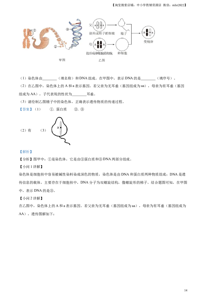 精品解析：2023年湖南省长沙市中考生物真题（解析版）_中考真题_8.生物中考真题2015-2024年_2023年全国中考生物7.20_精品解析：2023年湖南省长沙市中考生物真题