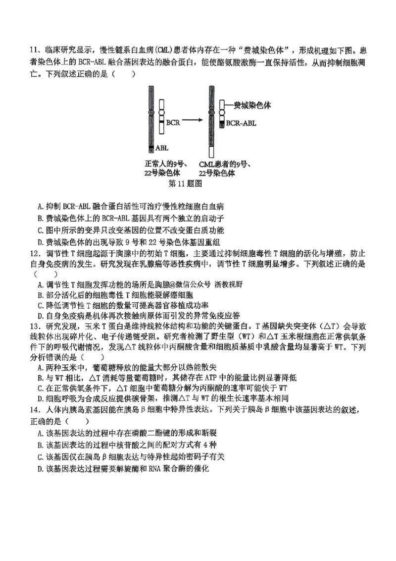 生物试题｜26届北斗星盟12月联考_2025年12月_251230浙江省北斗星盟2025年12月高三联考（全科）