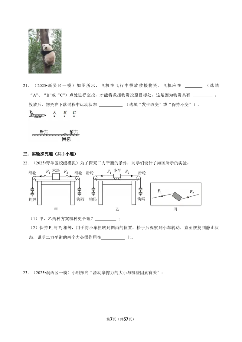 2026年中考物理常考考点专题之运动与力_162026年中考七科常考考点专题资料_004中考物理常考考点专题