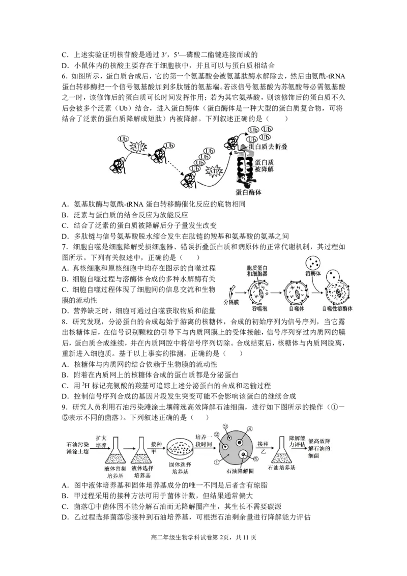 辽宁省沈阳市东北育才学校2024-2025学年高二下学期第二次月考试题生物PDF版含答案_2025年7月_250708辽宁省沈阳市东北育才学校2024-2025学年高二下学期第二次月考