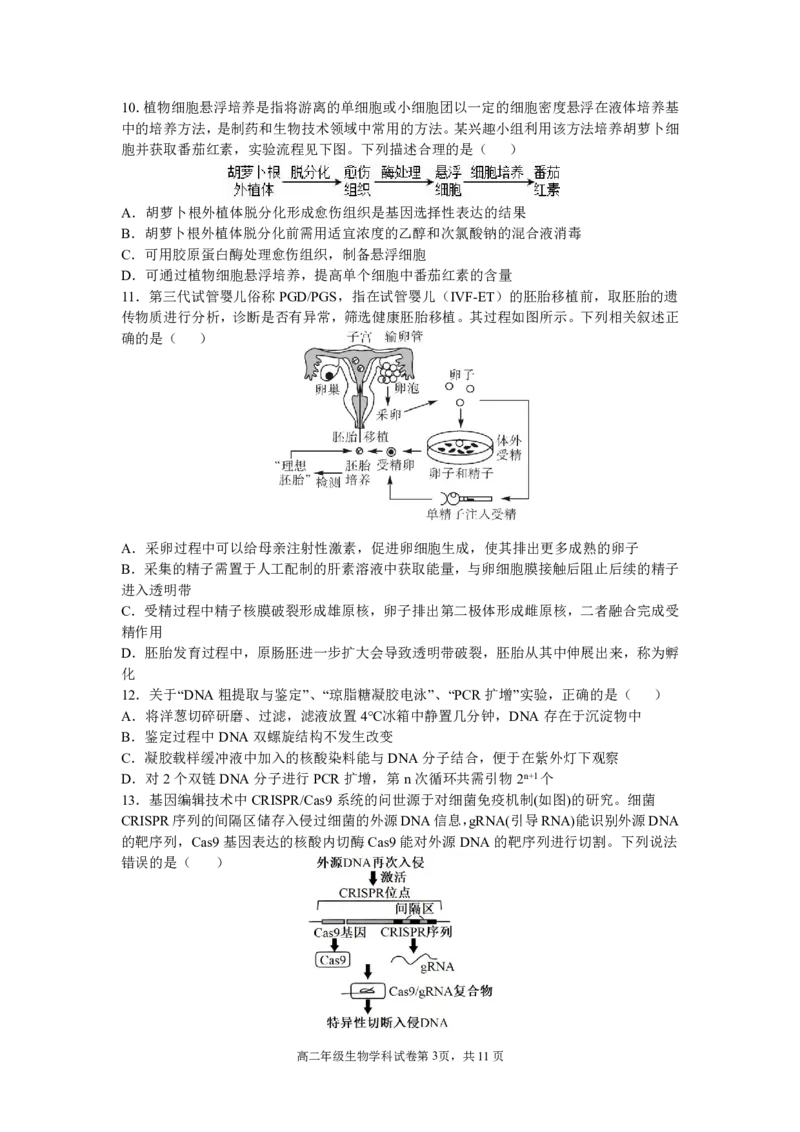 辽宁省沈阳市东北育才学校2024-2025学年高二下学期第二次月考试题生物PDF版含答案_2025年7月_250708辽宁省沈阳市东北育才学校2024-2025学年高二下学期第二次月考