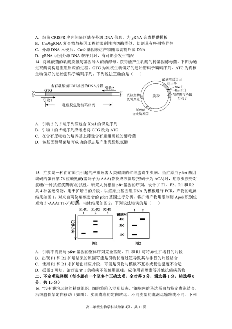 辽宁省沈阳市东北育才学校2024-2025学年高二下学期第二次月考试题生物PDF版含答案_2025年7月_250708辽宁省沈阳市东北育才学校2024-2025学年高二下学期第二次月考