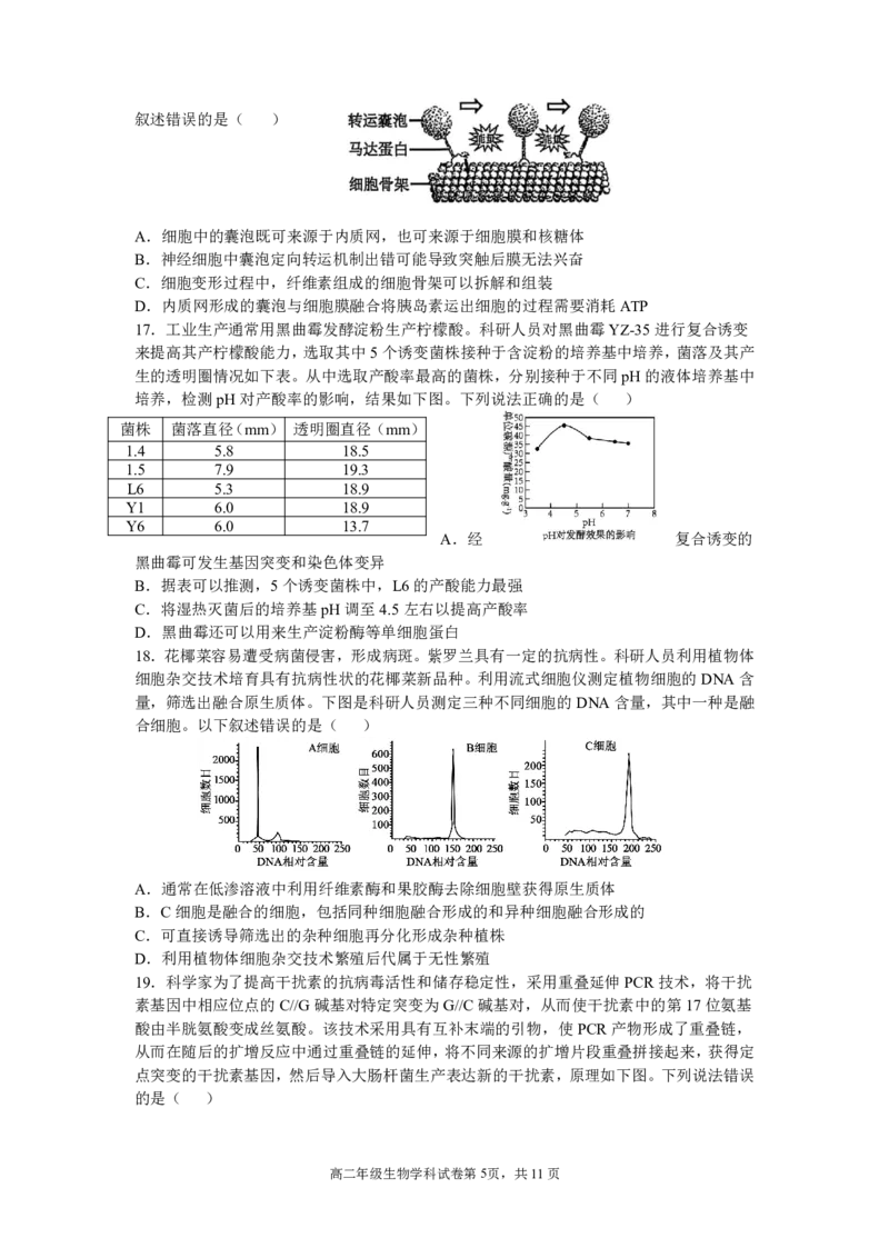 辽宁省沈阳市东北育才学校2024-2025学年高二下学期第二次月考试题生物PDF版含答案_2025年7月_250708辽宁省沈阳市东北育才学校2024-2025学年高二下学期第二次月考