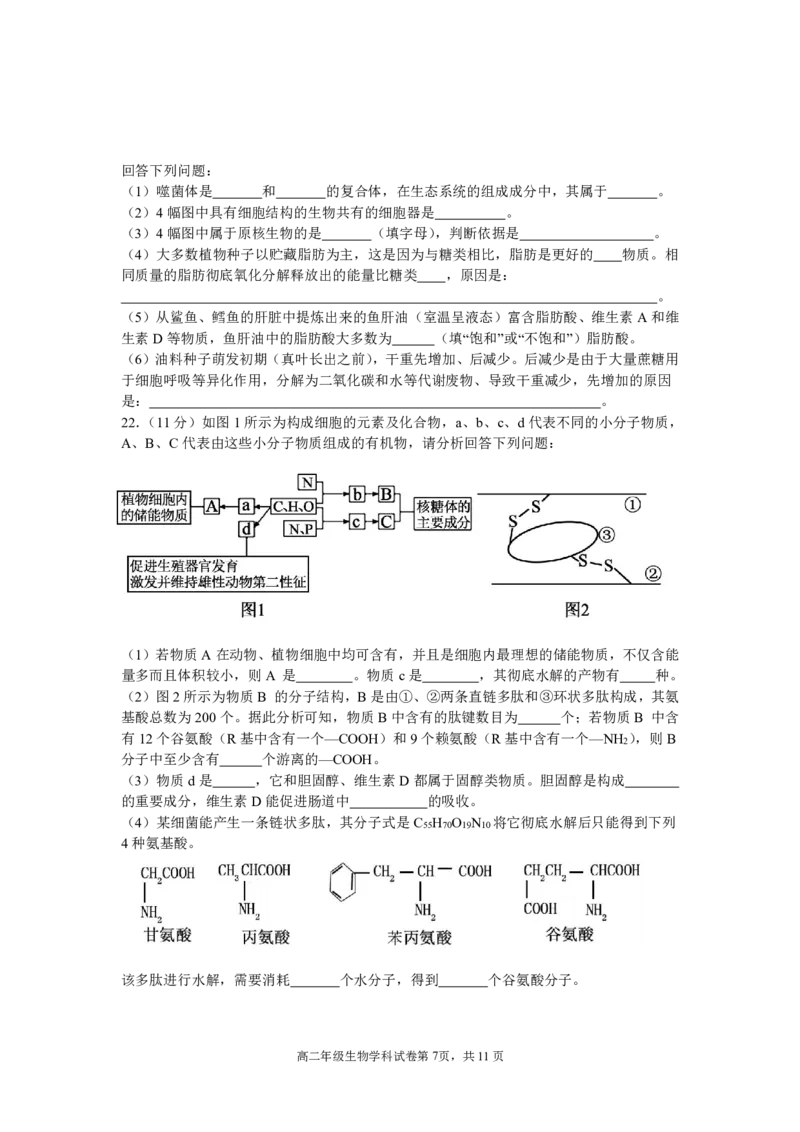 辽宁省沈阳市东北育才学校2024-2025学年高二下学期第二次月考试题生物PDF版含答案_2025年7月_250708辽宁省沈阳市东北育才学校2024-2025学年高二下学期第二次月考