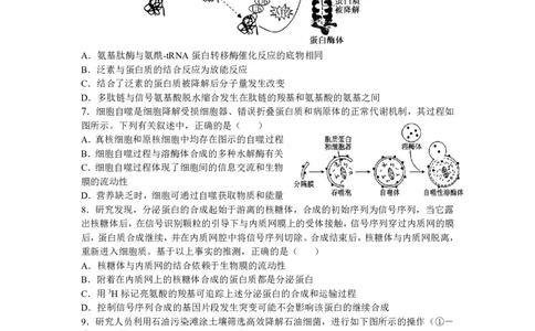 辽宁省沈阳市东北育才学校2024-2025学年高二下学期第二次月考试题生物PDF版含答案_2025年7月_250708辽宁省沈阳市东北育才学校2024-2025学年高二下学期第二次月考