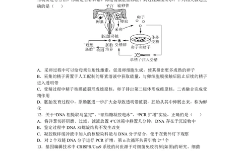 辽宁省沈阳市东北育才学校2024-2025学年高二下学期第二次月考试题生物PDF版含答案_2025年7月_250708辽宁省沈阳市东北育才学校2024-2025学年高二下学期第二次月考