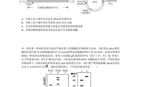 辽宁省沈阳市东北育才学校2024-2025学年高二下学期第二次月考试题生物PDF版含答案_2025年7月_250708辽宁省沈阳市东北育才学校2024-2025学年高二下学期第二次月考