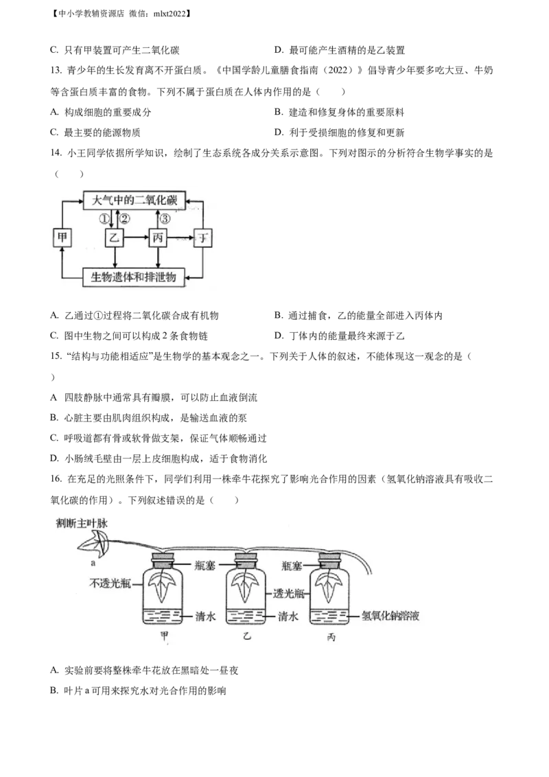 精品解析：2022年山东省青岛市中考生物真题（原卷版）_中考真题_8.生物中考真题2015-2024年_2022年全国中考生物114份14