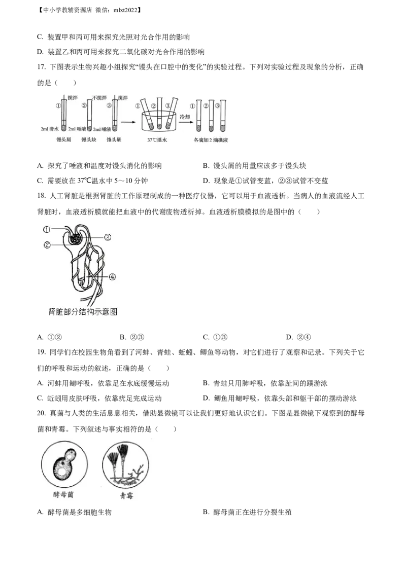 精品解析：2022年山东省青岛市中考生物真题（原卷版）_中考真题_8.生物中考真题2015-2024年_2022年全国中考生物114份14